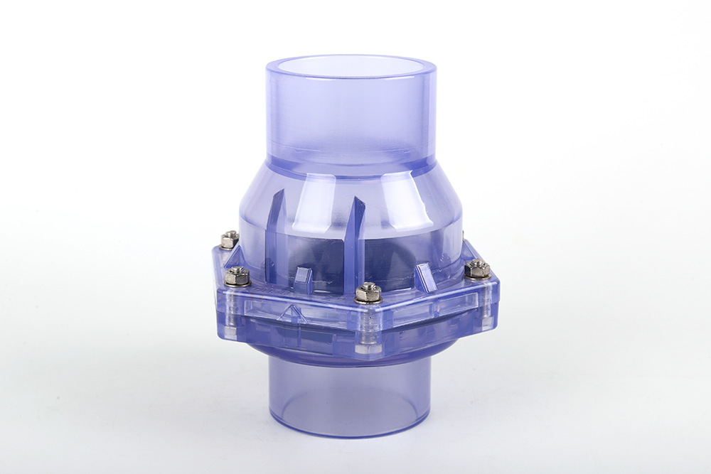 卢龙透明翻板式止回阀